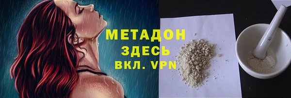 стаф Алзамай