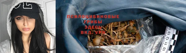 стаф Алзамай