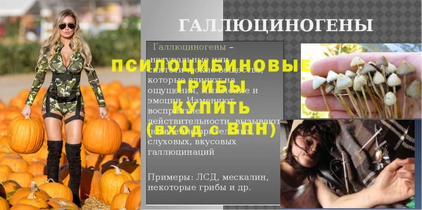 стаф Алзамай