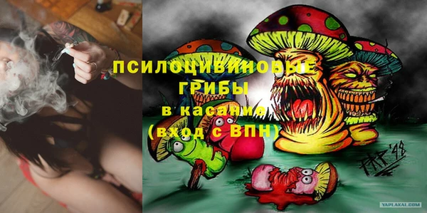 стафф Алексеевка