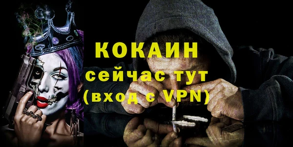 стаф Алзамай