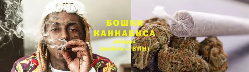 Бошки марихуана OG Kush  закладка  Лагань 